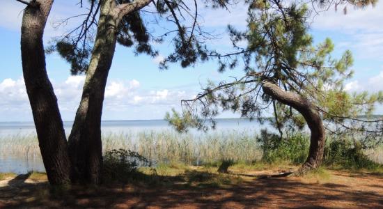 Le Lac de Biscarrosse, à quelques minutes de notre maison d'hôtes